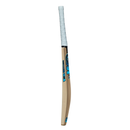GM Diamond 101 Junior Cricket Bat