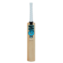 GM Diamond 101 Junior Cricket Bat