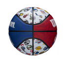Wilson NBA Tribute All Team Basketball (7)