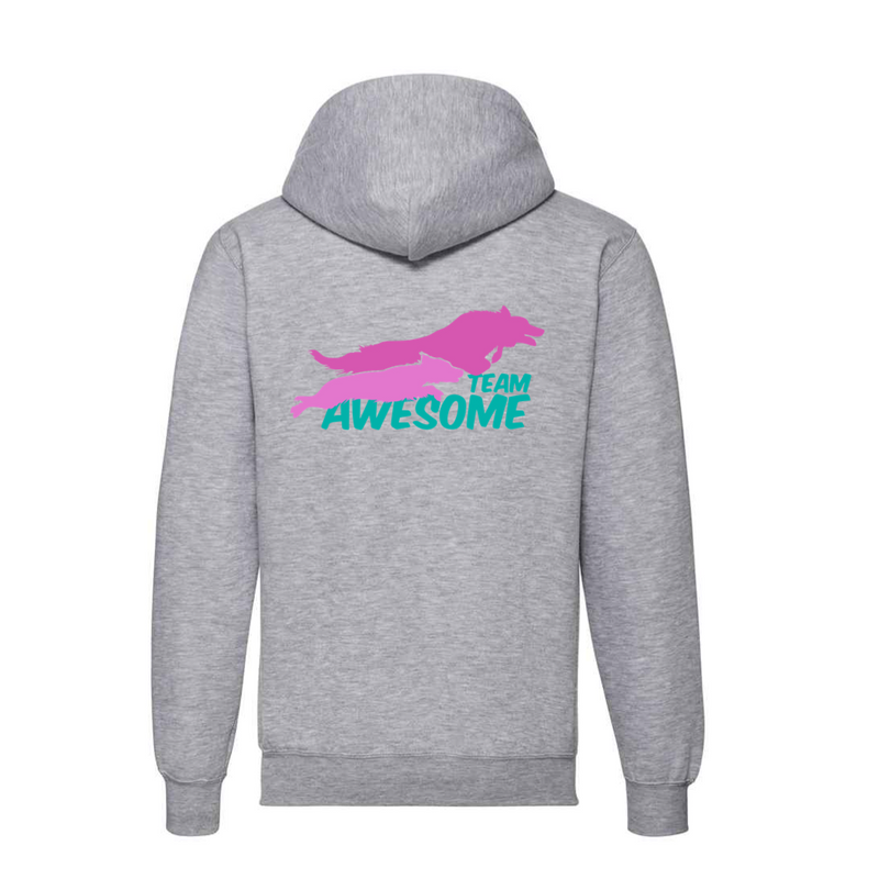 Team Awesome Regular Fit Hoody