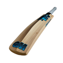 GM Diamond 101 Junior Cricket Bat