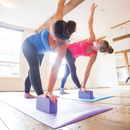 Fitness Mad Yoga Brick